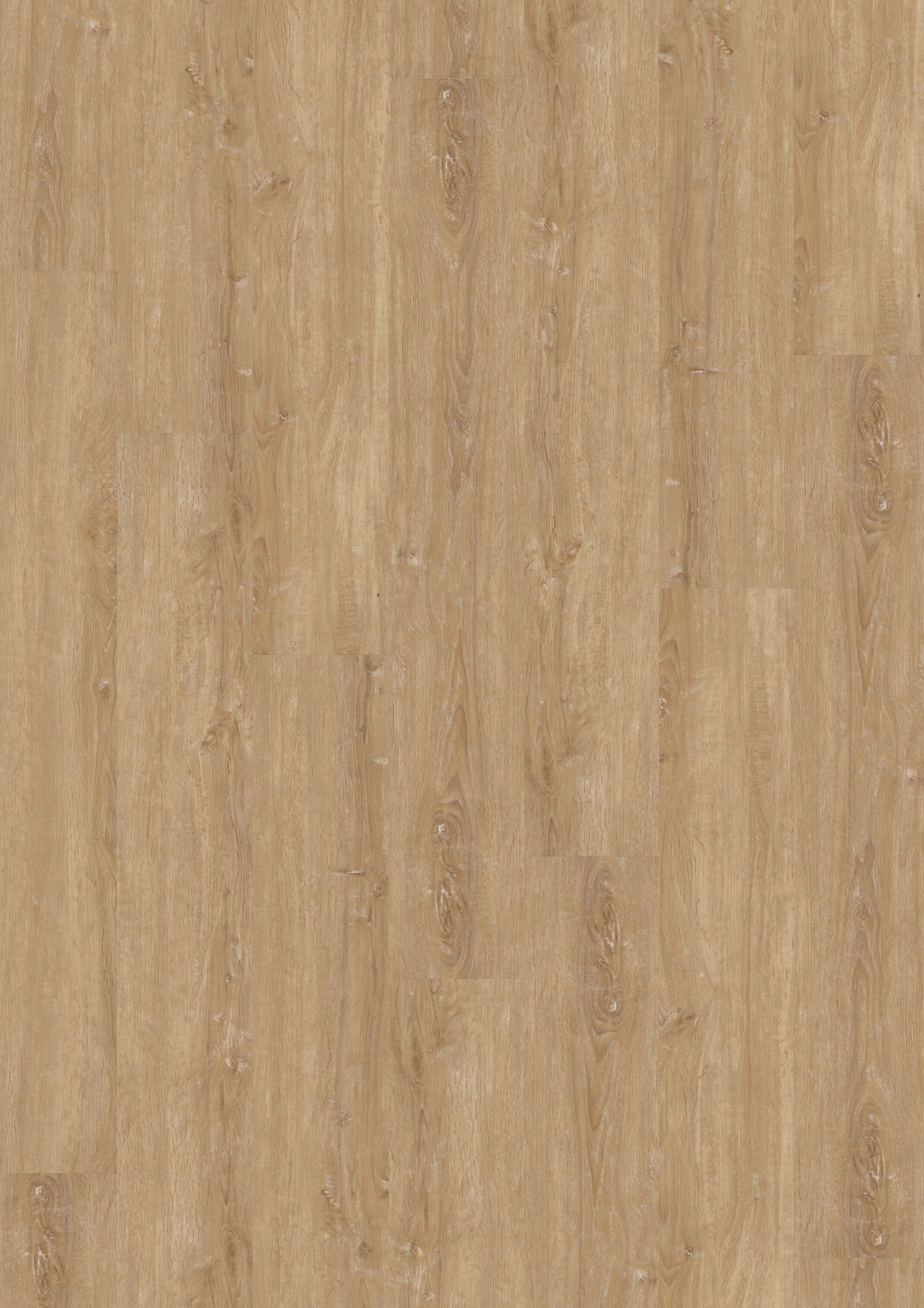 Afbeelding van LVT Design 555 DB 5508 Champagne Oak 184x1219x2,5mm 3,37m2