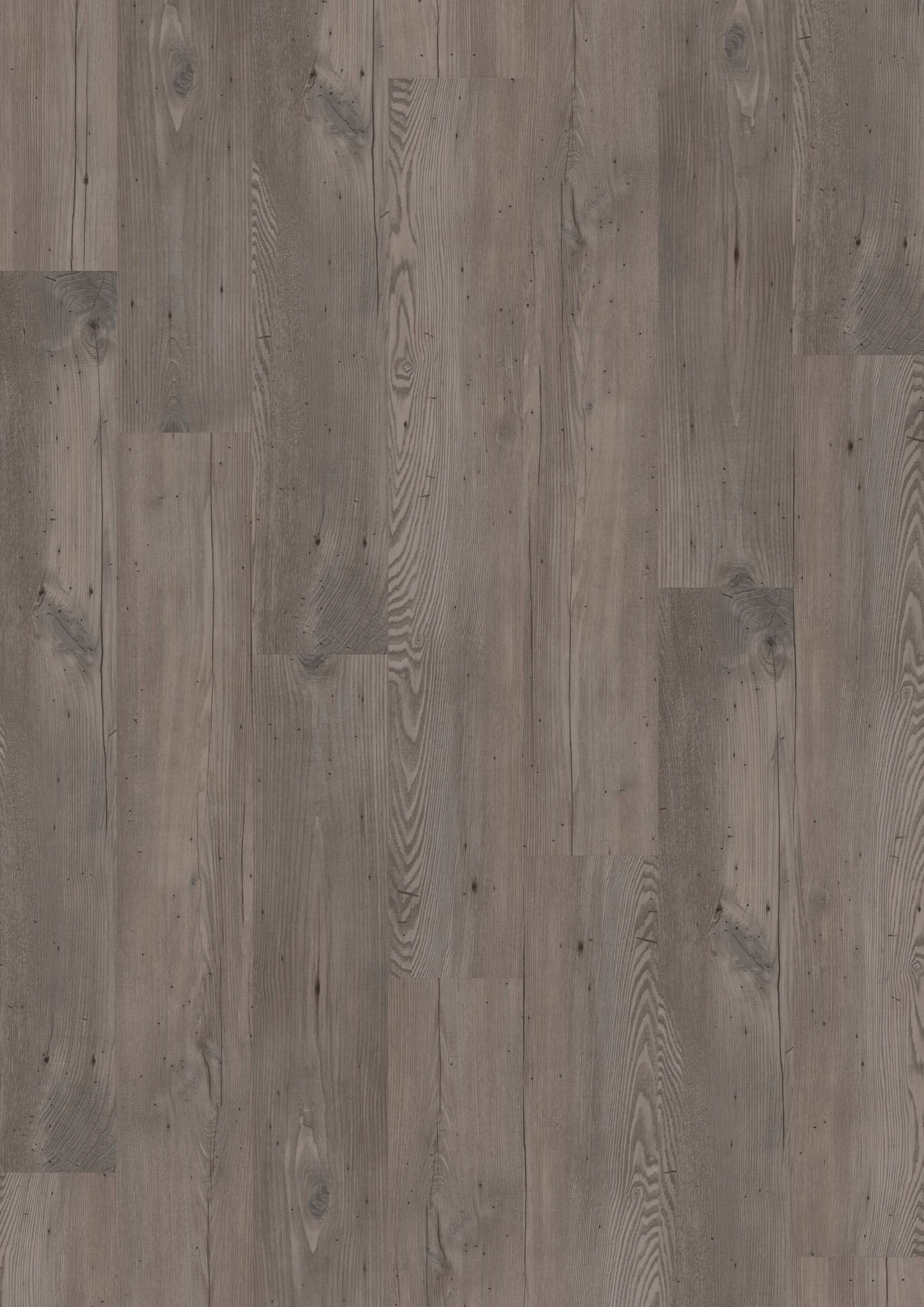 Afbeelding van LVT Design 555 DB 5528 Wormy Grey Fir 184x1219x2,5mm 3,37m2