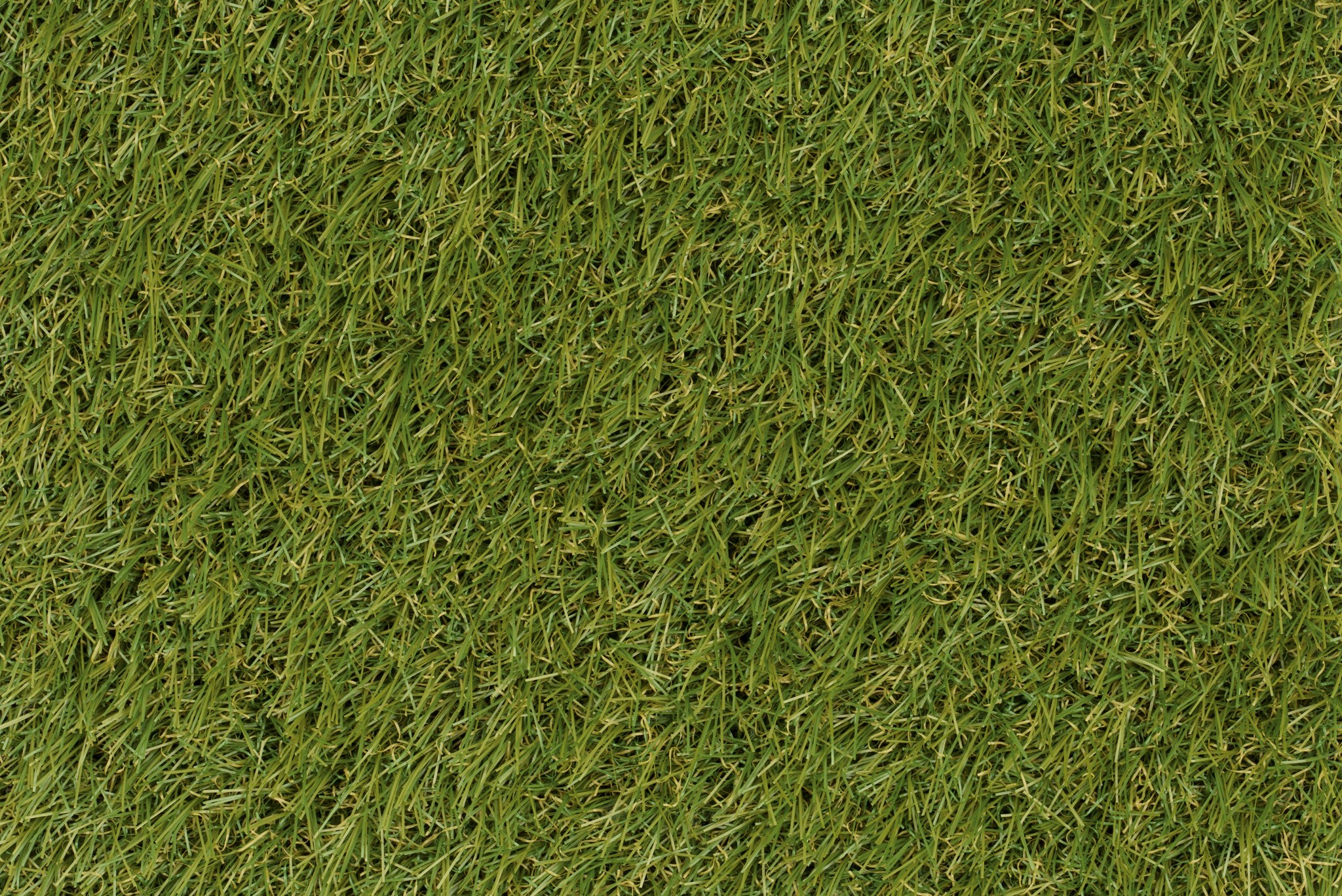 Afbeelding van JOKA Holiday 24 Kunstgras  Korfu 400cm Kleur 25 x 400