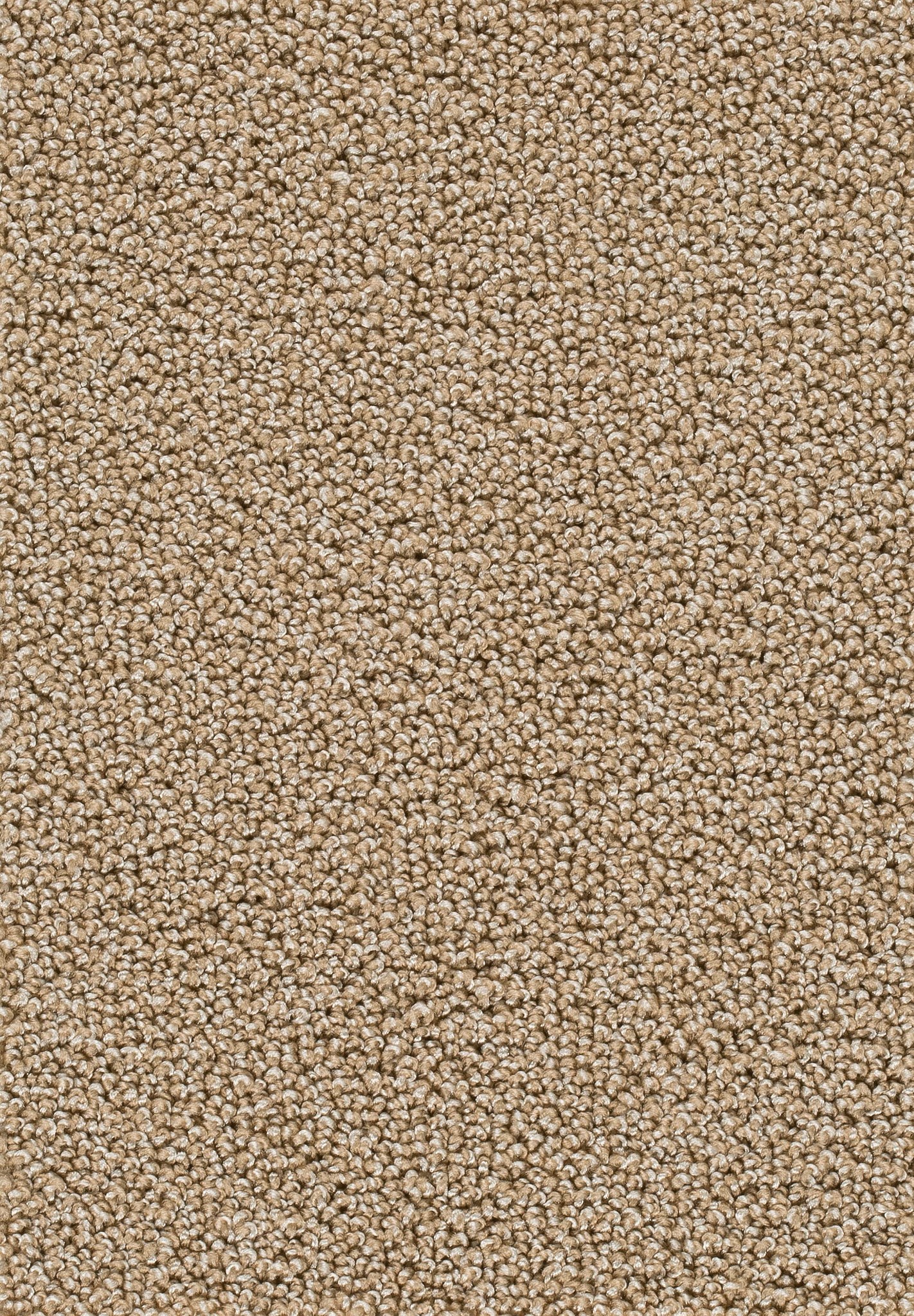 Afbeelding van Trend 026 Tapijt AMBRA 500cm Kleur 34 x 500,0
