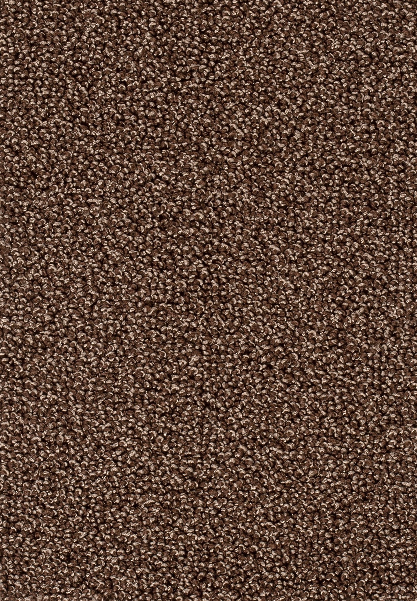 Afbeelding van Trend 026 Tapijt AMBRA 500cm Kleur 45 x 500,0