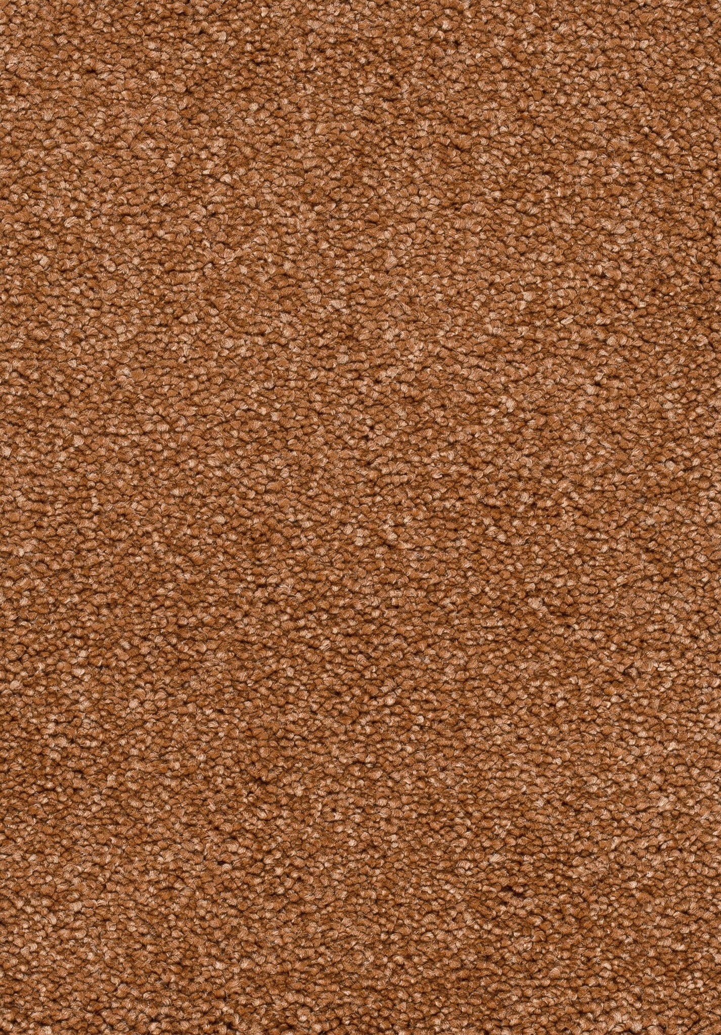 Afbeelding van Trend 23 Tapijt FRESCO 500cm Kleur 80 x 500,0