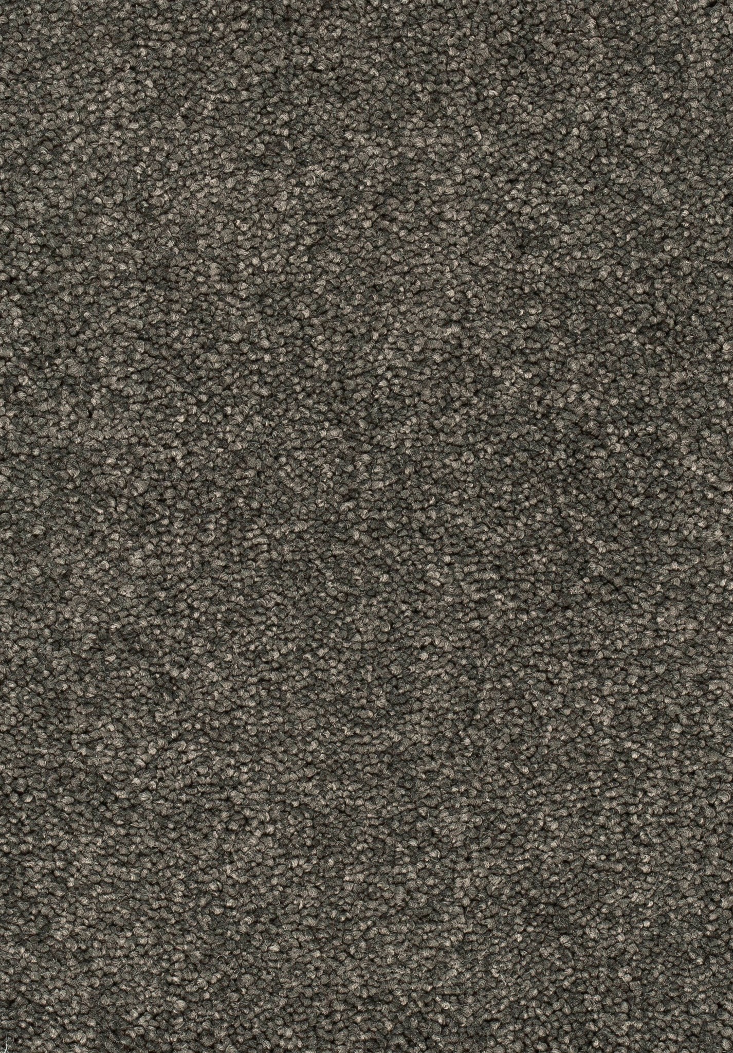 Afbeelding van Trend 23 Tapijt FRESCO 500cm Kleur 95 x 500,0