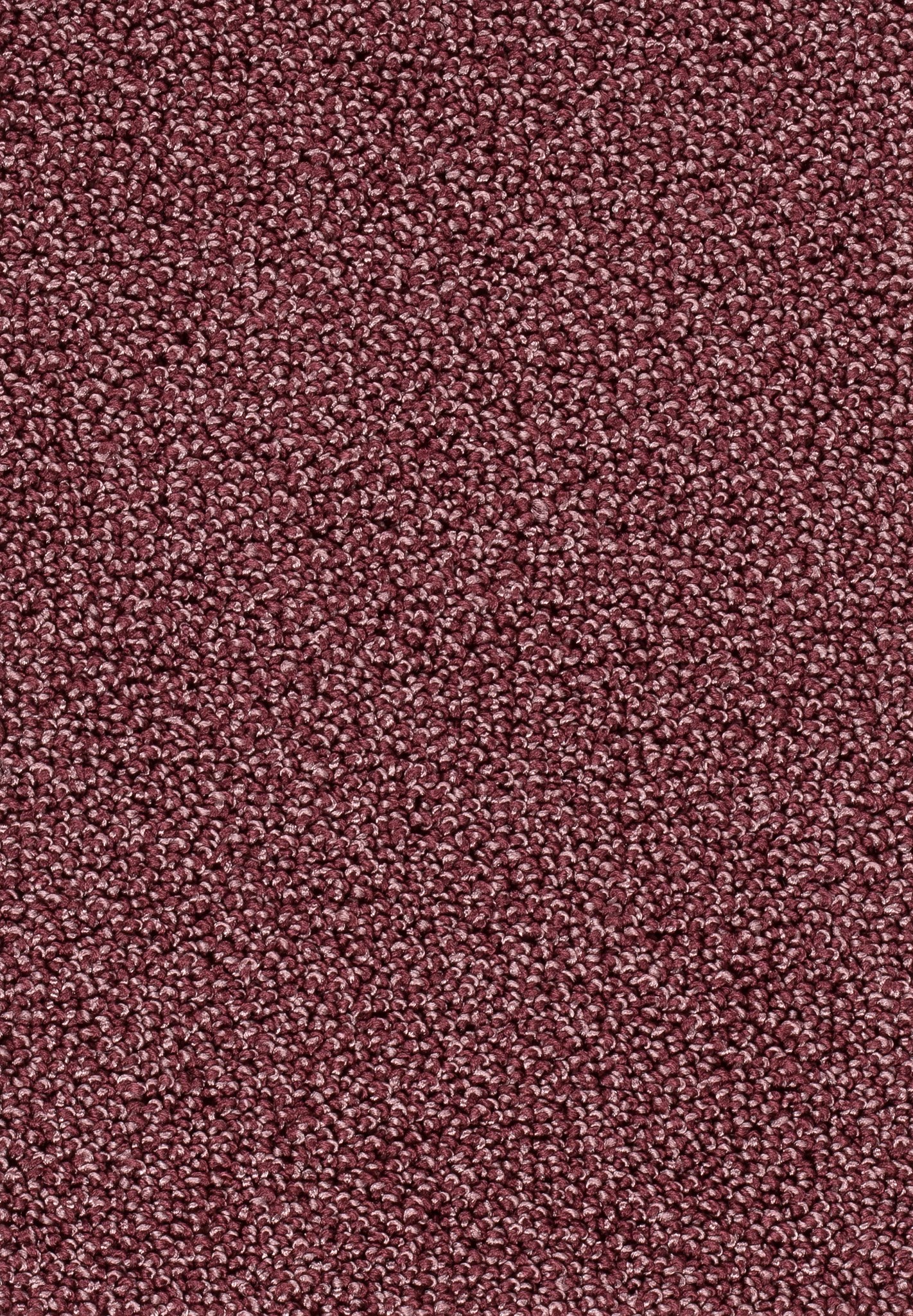 Afbeelding van Trend 23 Tapijt AMBRA 500cm Kleur 66 x 500,0