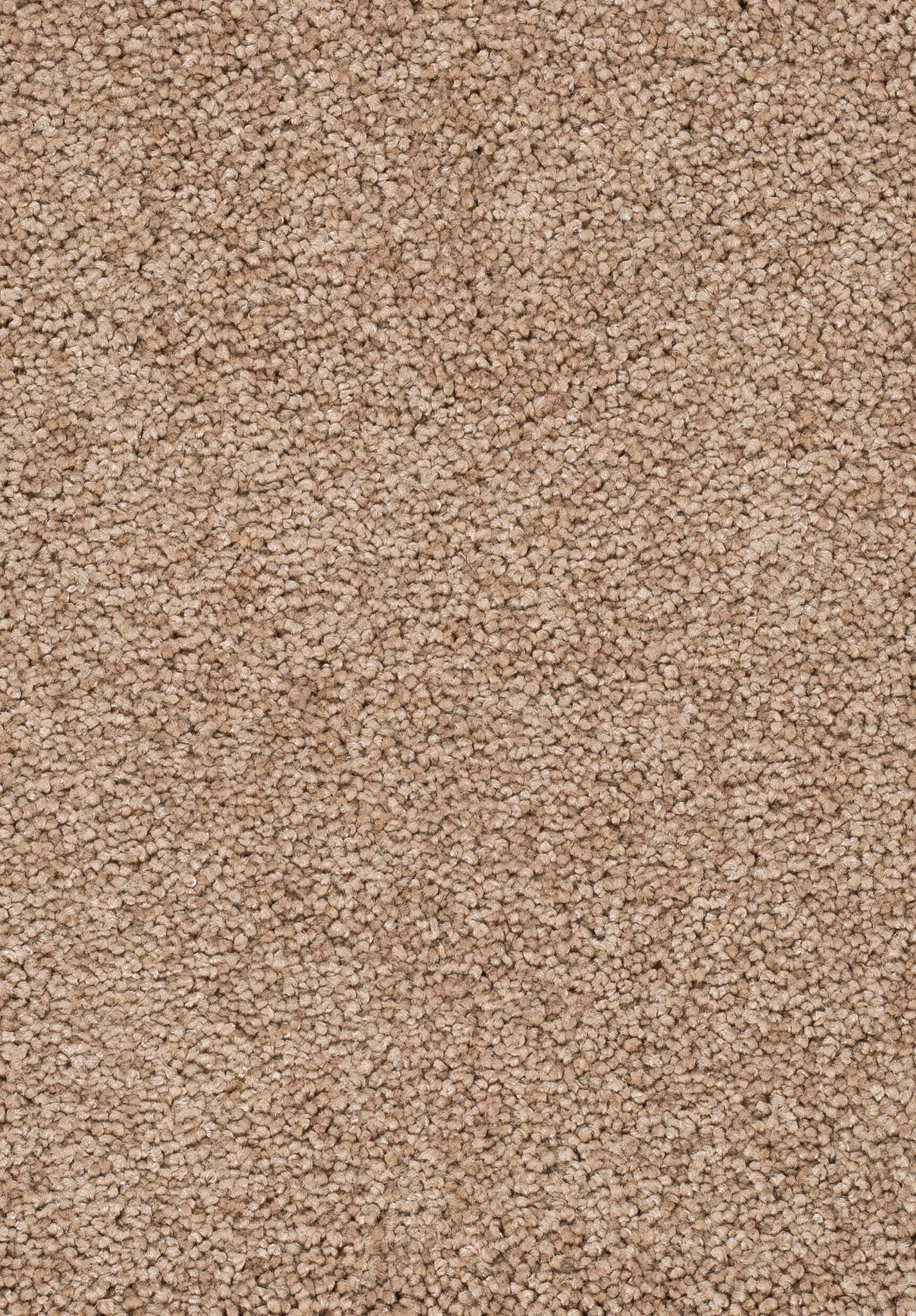 Afbeelding van Trend 23 Tapijt FRESCO 500cm Kleur 38 x 500,0