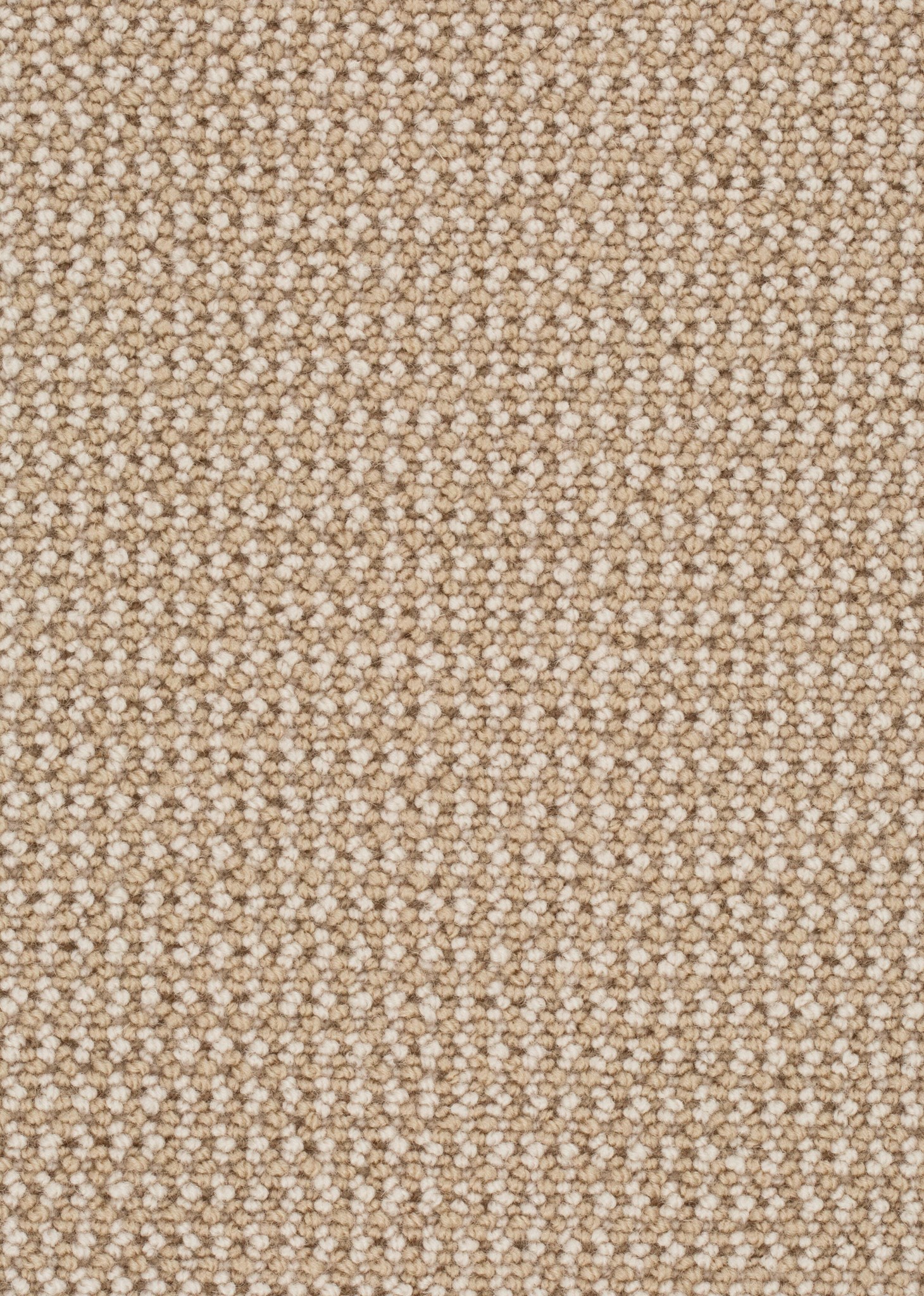 Afbeelding van Wool 24 Tapijt MIKA 400cm Kleur 122 x 400,0
