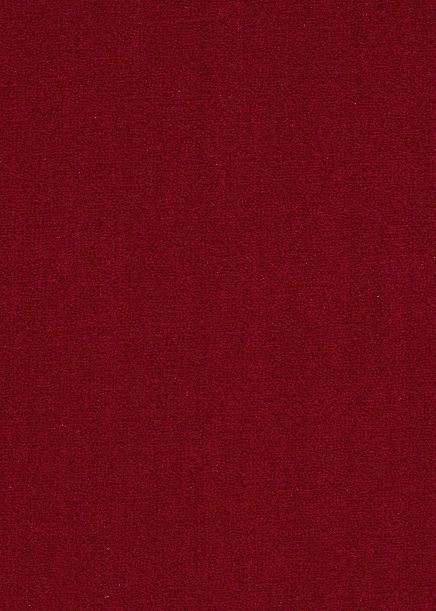 Afbeelding van Wool 24 Tapijt Turin 400cm Kleur 555 x 400,0