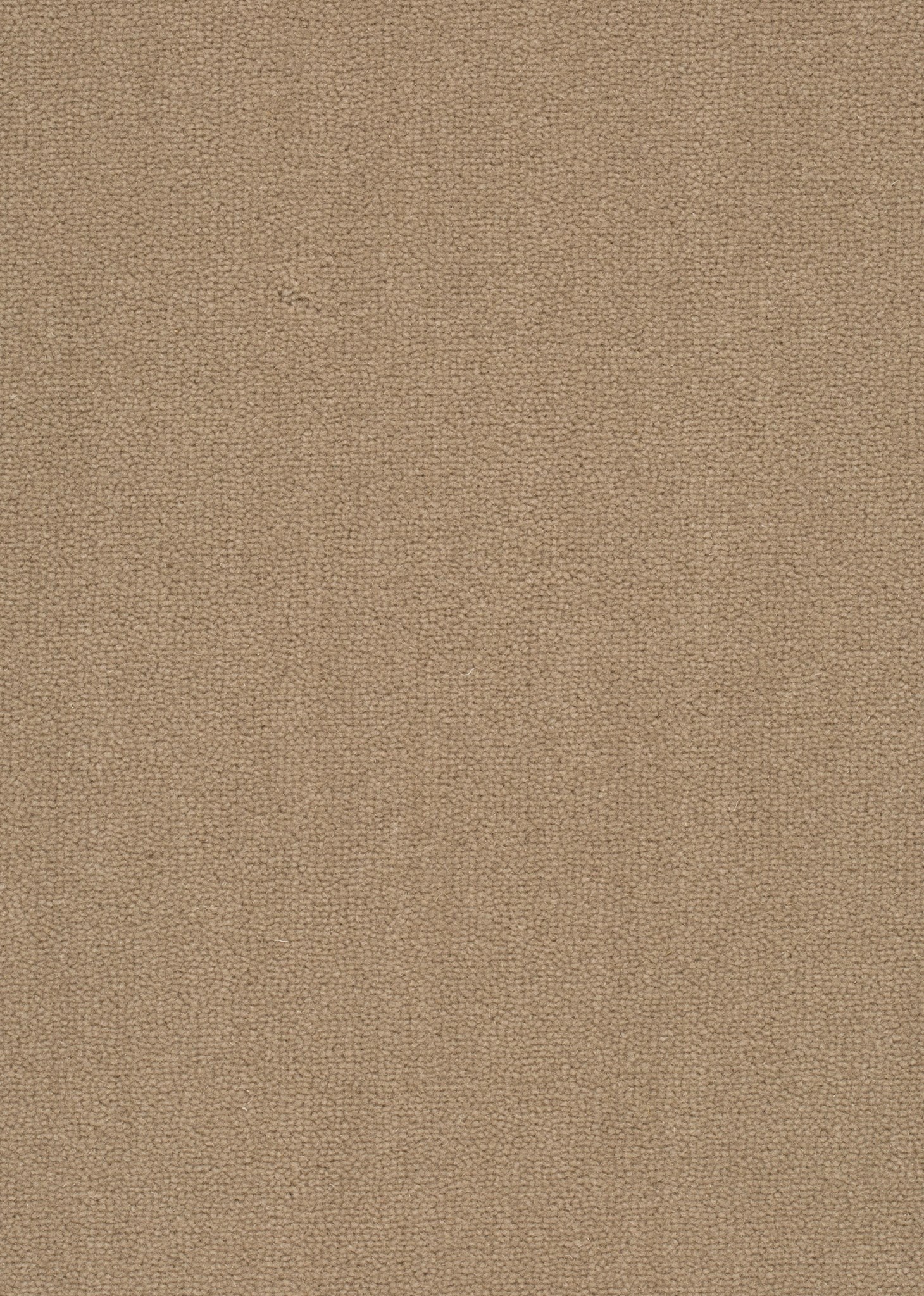 Afbeelding van Wool 24 Tapijt Turin 400cm Kleur 532 x 400,0