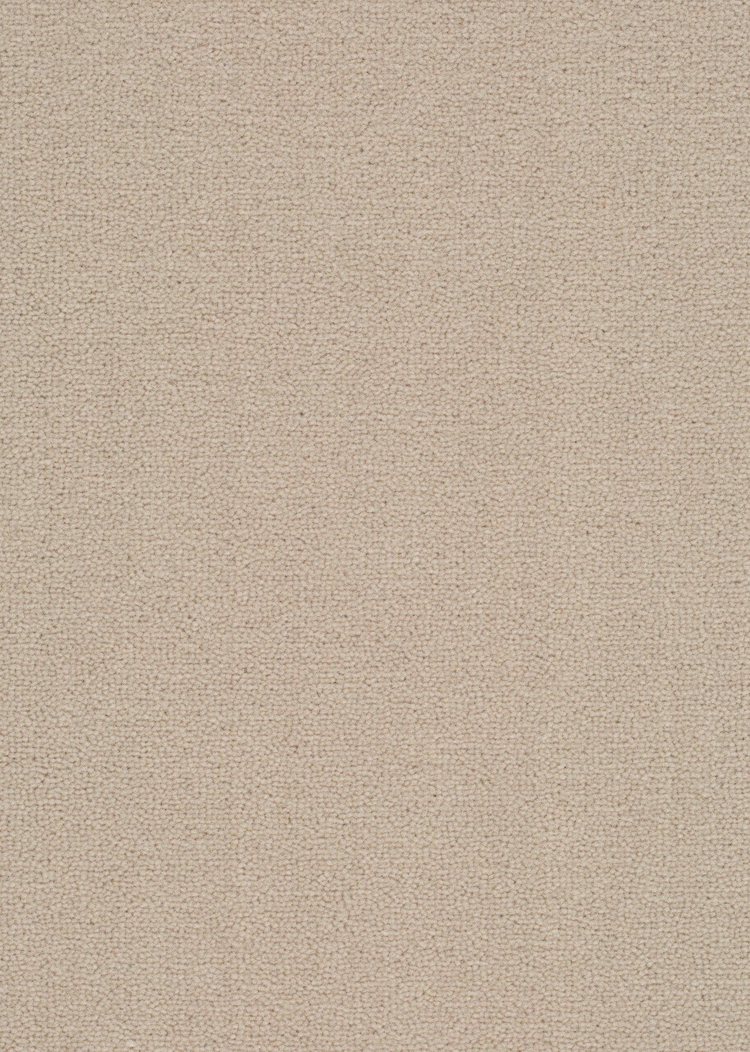Afbeelding van Wool 24 Tapijt Turin 400cm Kleur 521 x 400,0