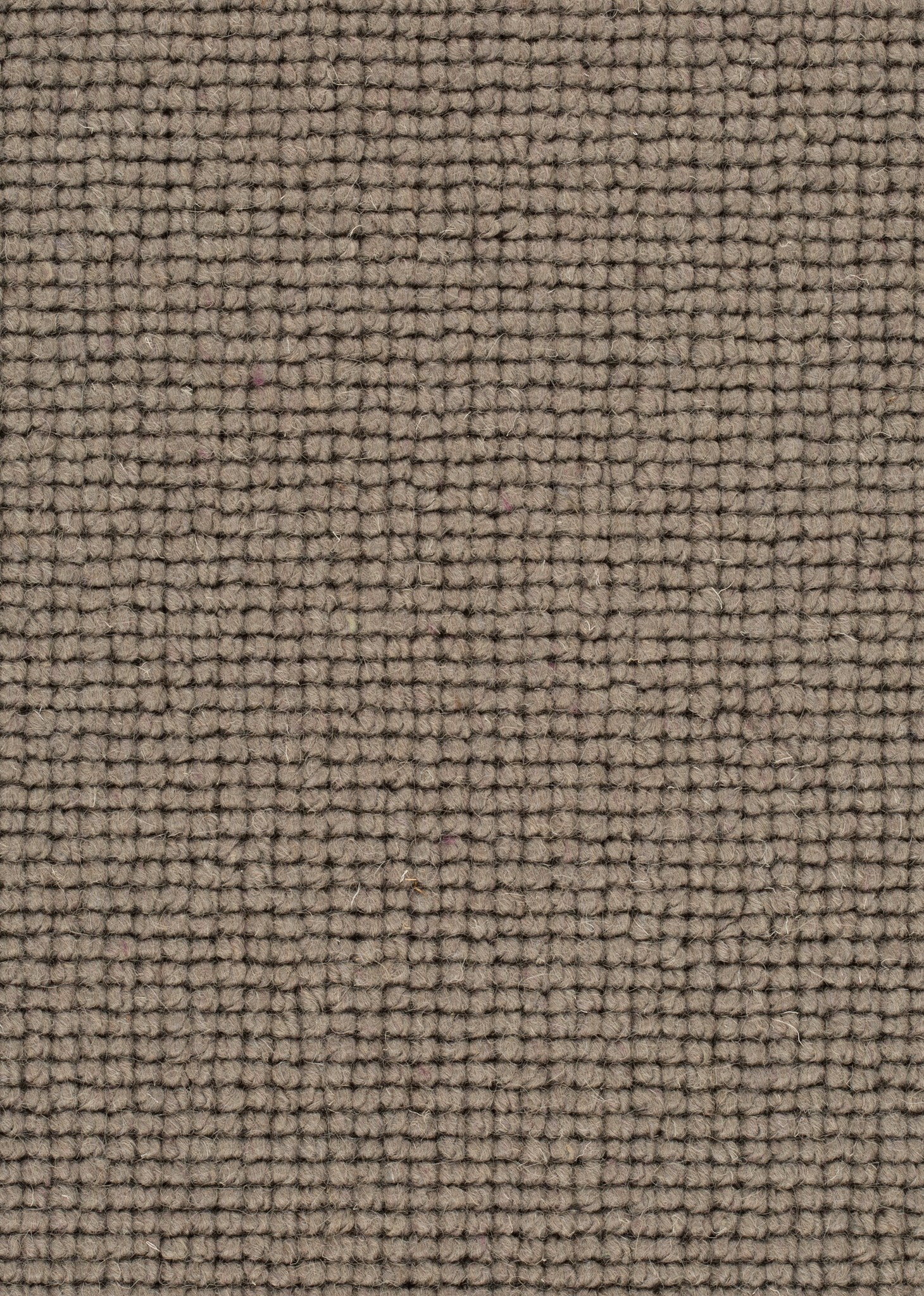 Afbeelding van Wool 24 Tapijt SALI 500cm Kleur 279 x 500,0