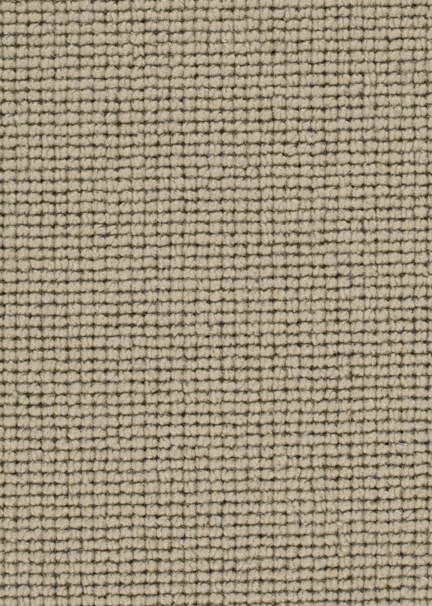 Afbeelding van Wool 24 Tapijt SALI 400cm Kleur 239 x 400,0