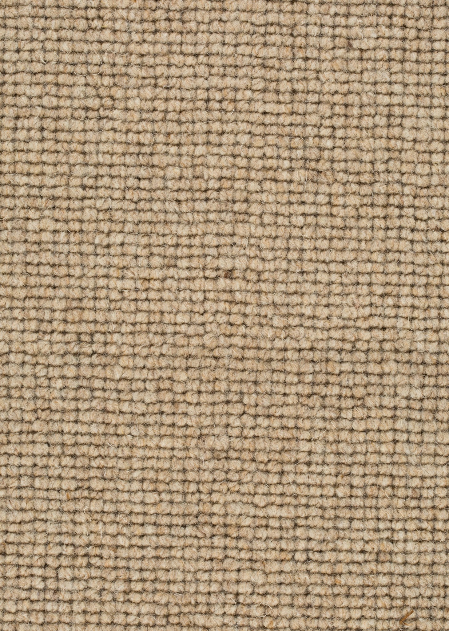 Afbeelding van Wool 24 Tapijt SALI 400cm Kleur 132 x 400,0