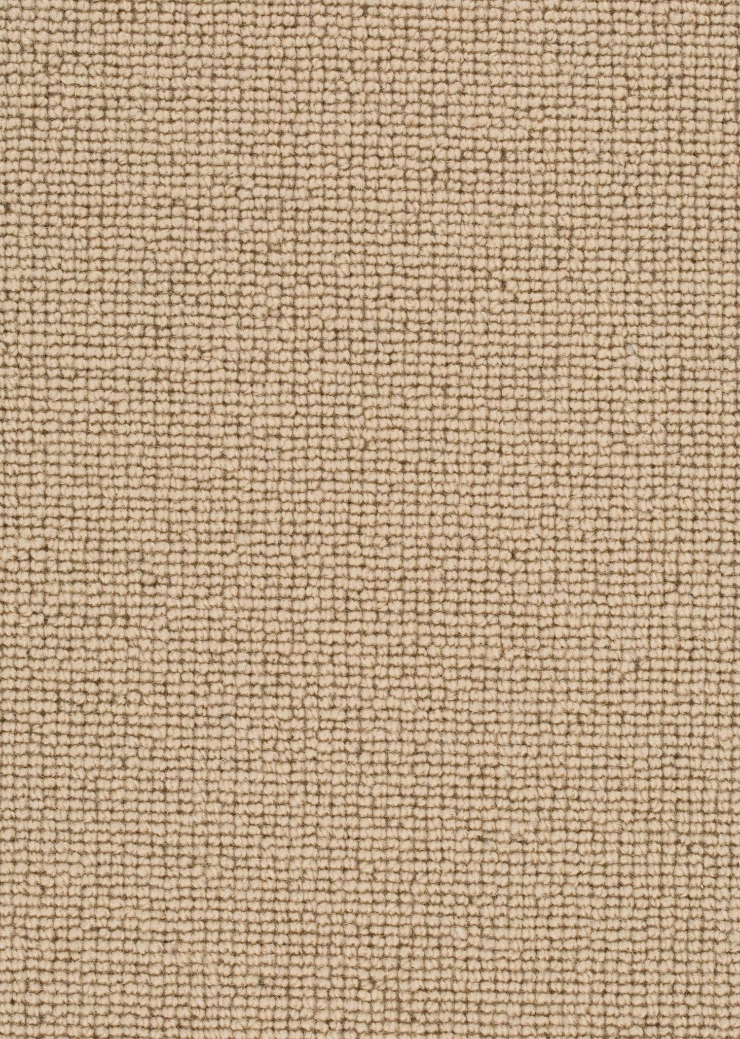 Afbeelding van Wool 24 Tapijt ROCCO 400cm Kleur 142 x 400,0