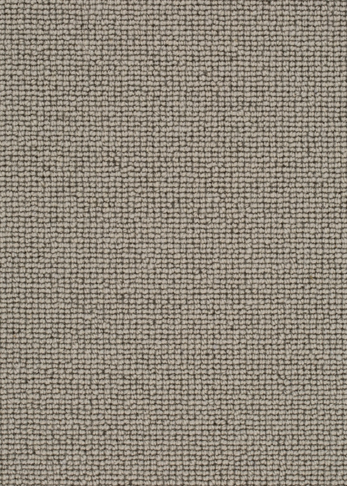 Afbeelding van Wool 24 Tapijt ROCCO 400cm Kleur 139 x 400,0