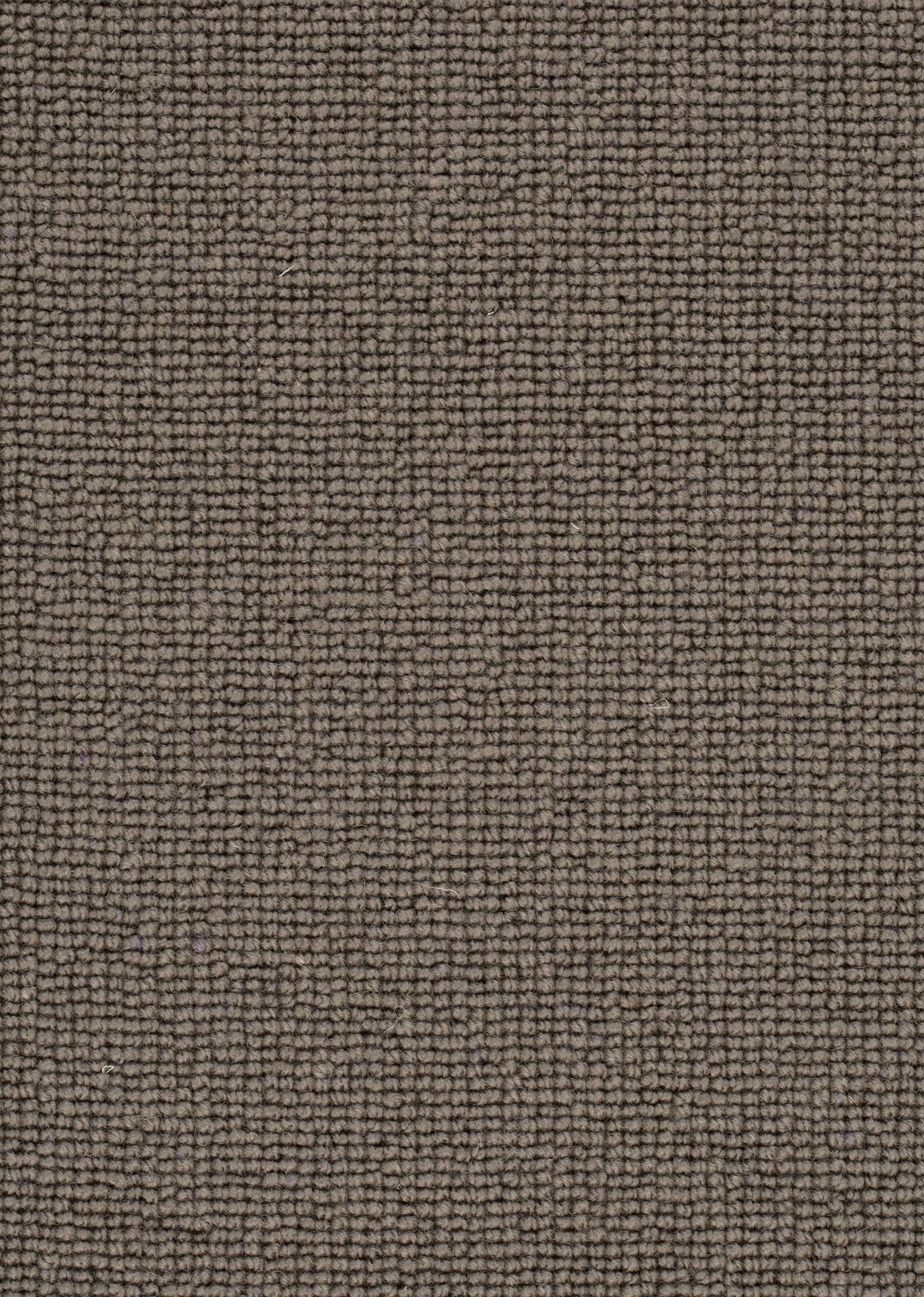 Afbeelding van Wool 24 Tapijt ROCCO 400cm Kleur 133 x 400,0