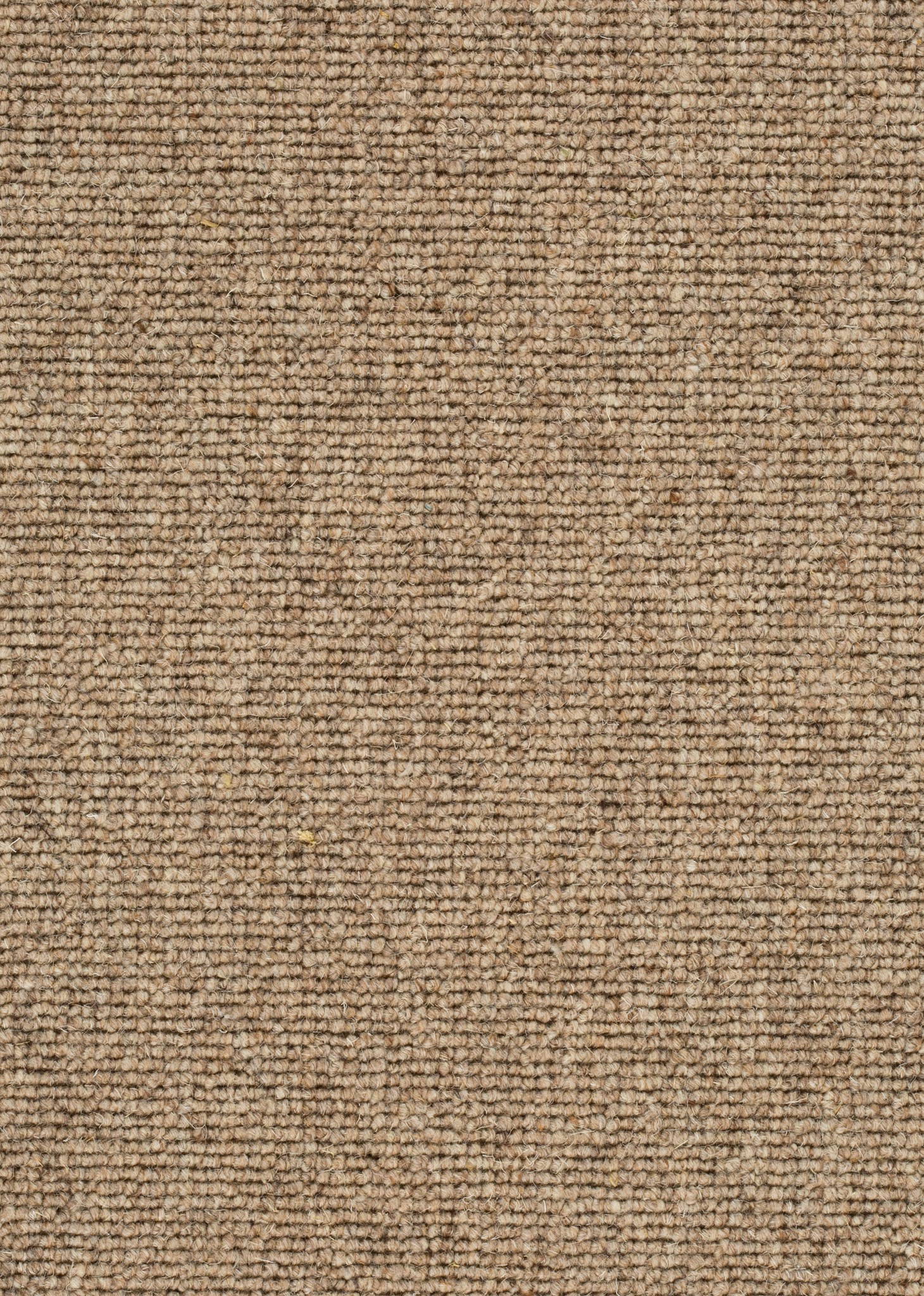 Afbeelding van Wool 24 Tapijt POINT 400cm Kleur 137 x 400,0