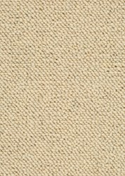 Afbeelding van Wool 24 Tapijt NELSON 500cm Kleur 502 x 500,0
