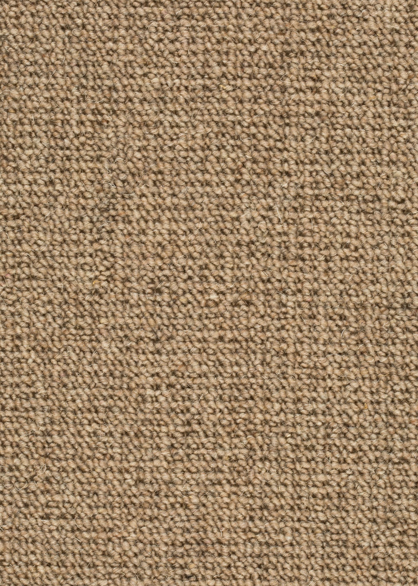 Afbeelding van Wool 24 Tapijt MILTON 400cm Kleur 223 x 400,0