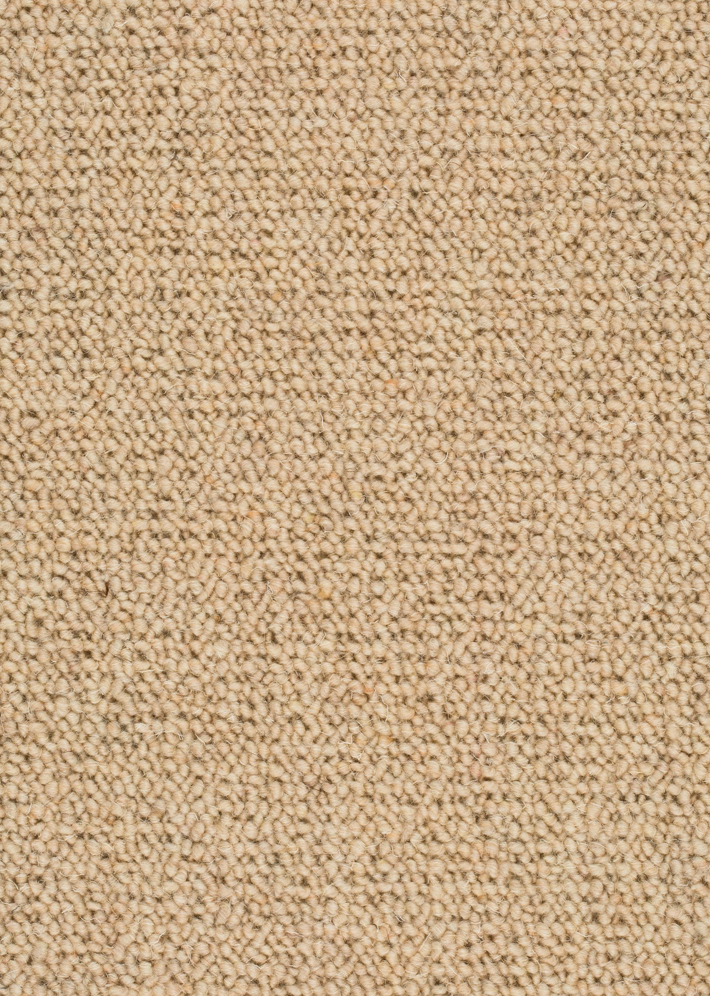 Afbeelding van Wool 24 Tapijt MILTON 400cm Kleur 212 x 400,0