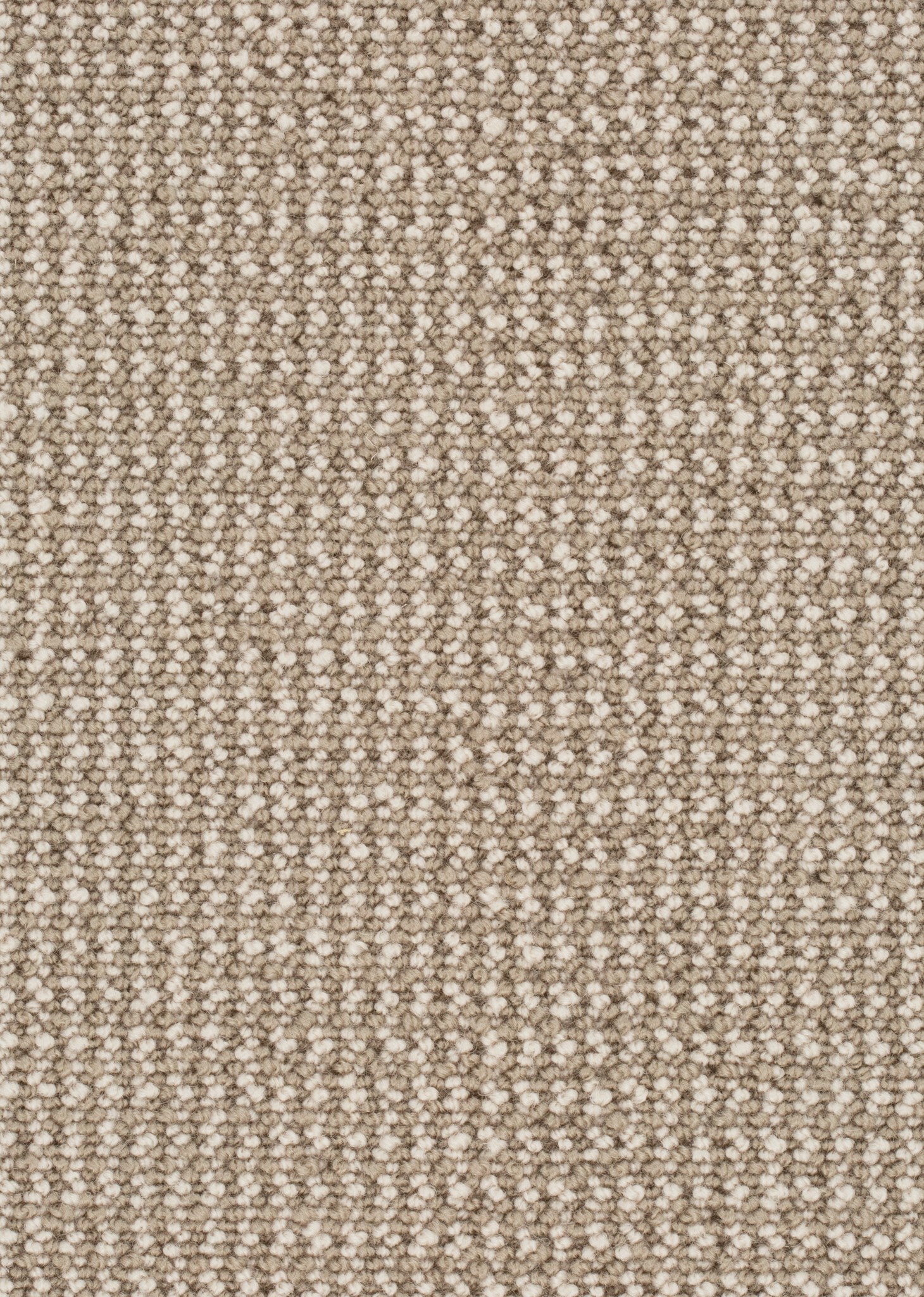 Afbeelding van Wool 24 Tapijt MIKA 500cm Kleur 124 x 500,0
