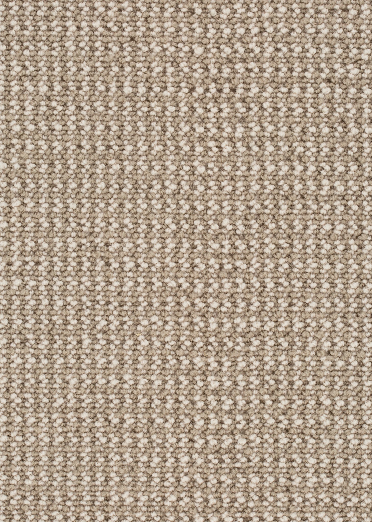 Afbeelding van Wool 24 Tapijt MIKA 400cm Kleur 124 x 400,0
