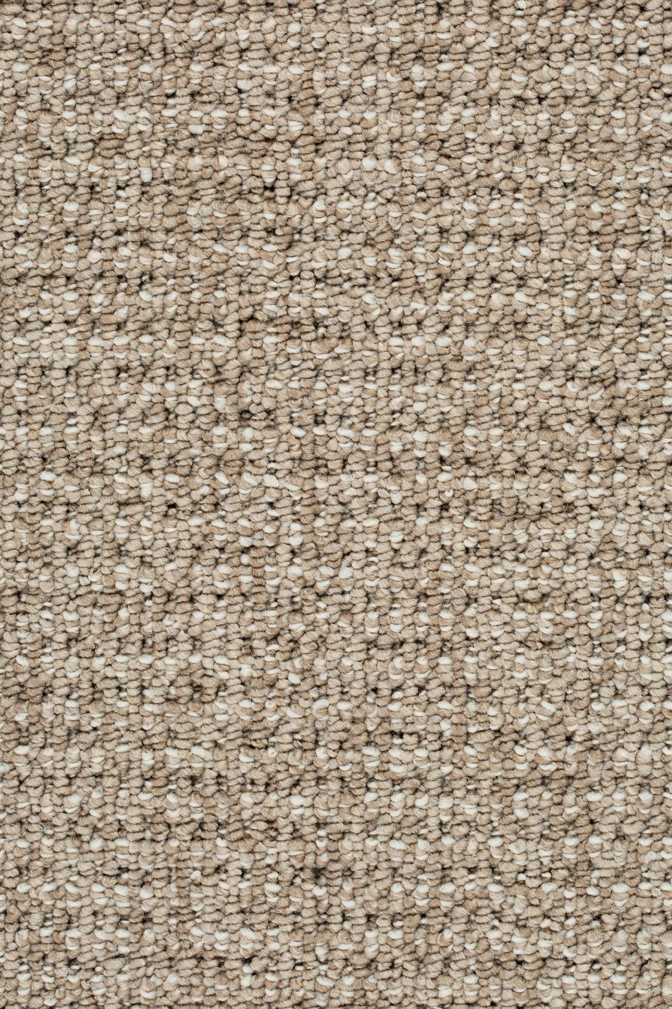 Afbeelding van Sprint 24 Tapijt ALTO 400cm Kleur 712 x 400