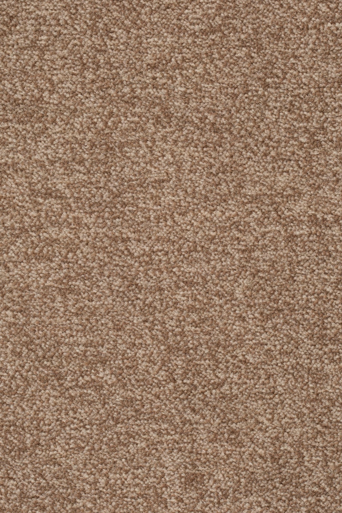 Afbeelding van Sprint 027 Tapijt Astro 400cm Kleur 221 x 400