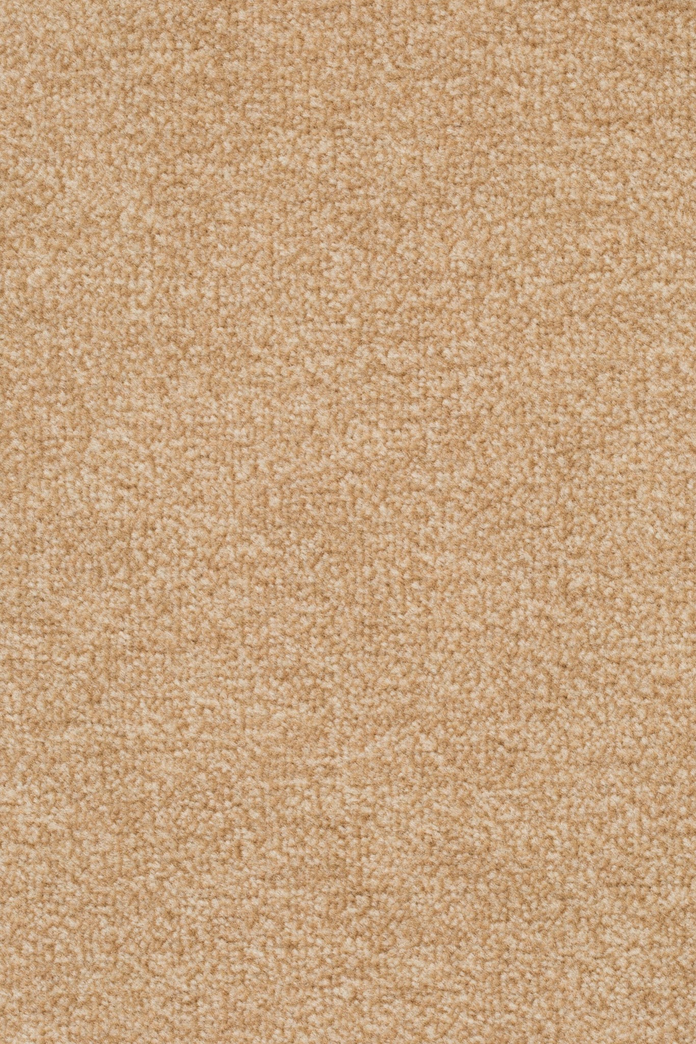 Afbeelding van Sprint 027 Tapijt Astro 400cm Kleur 231 x 400