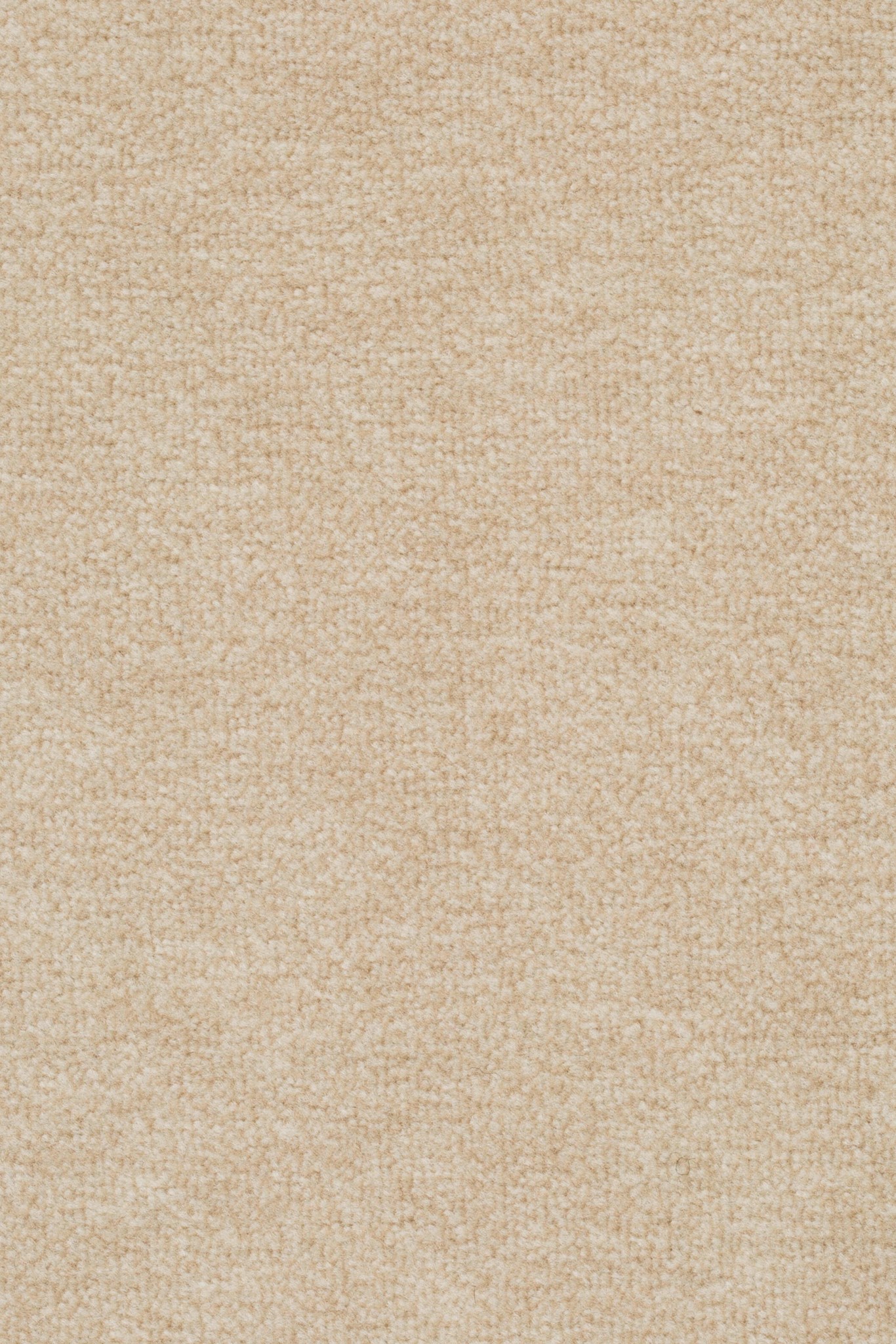 Afbeelding van Sprint 027 Tapijt Astro 400cm Kleur 241 x 400