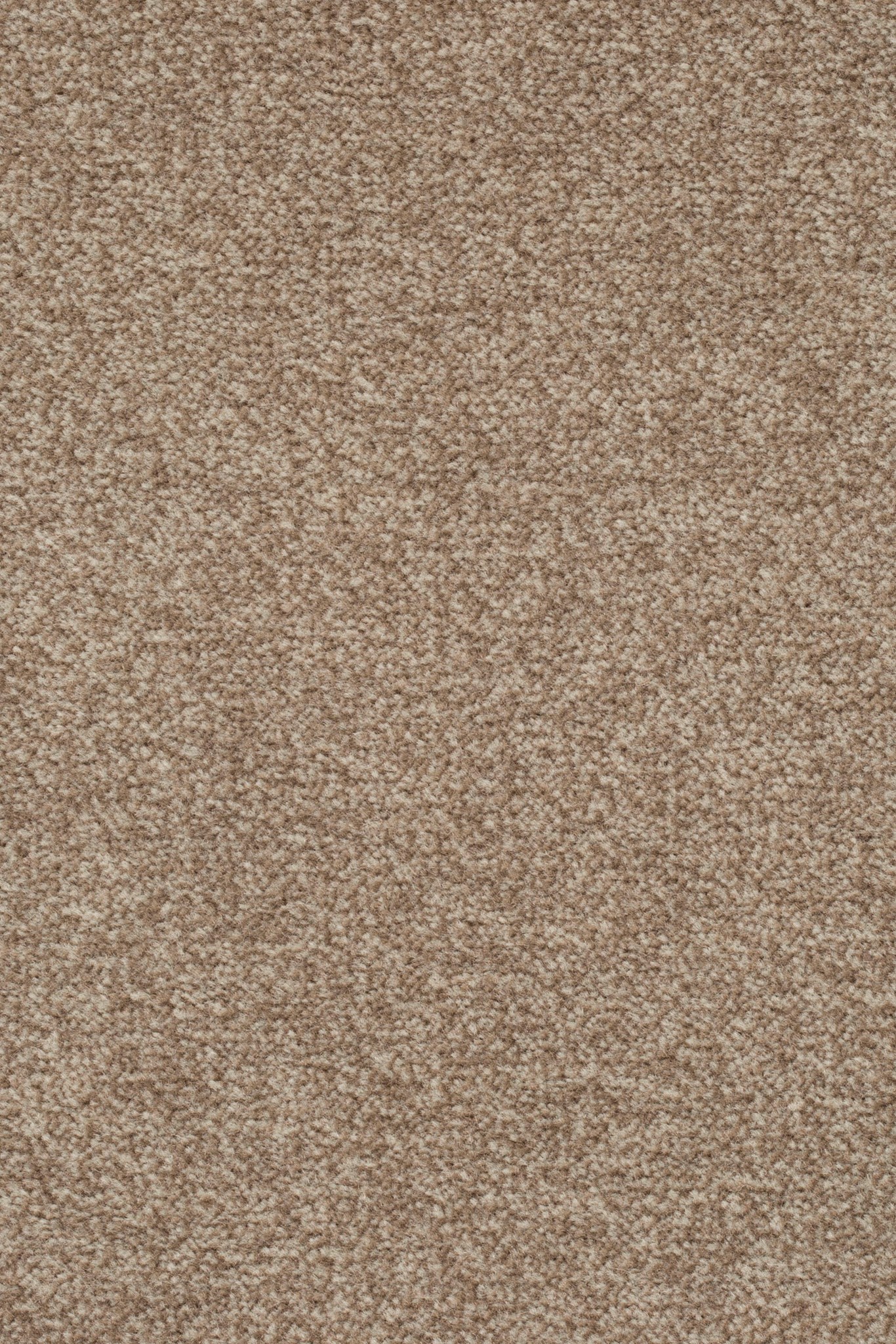 Afbeelding van Sprint 027 Tapijt Astro 400cm Kleur 262 x 400