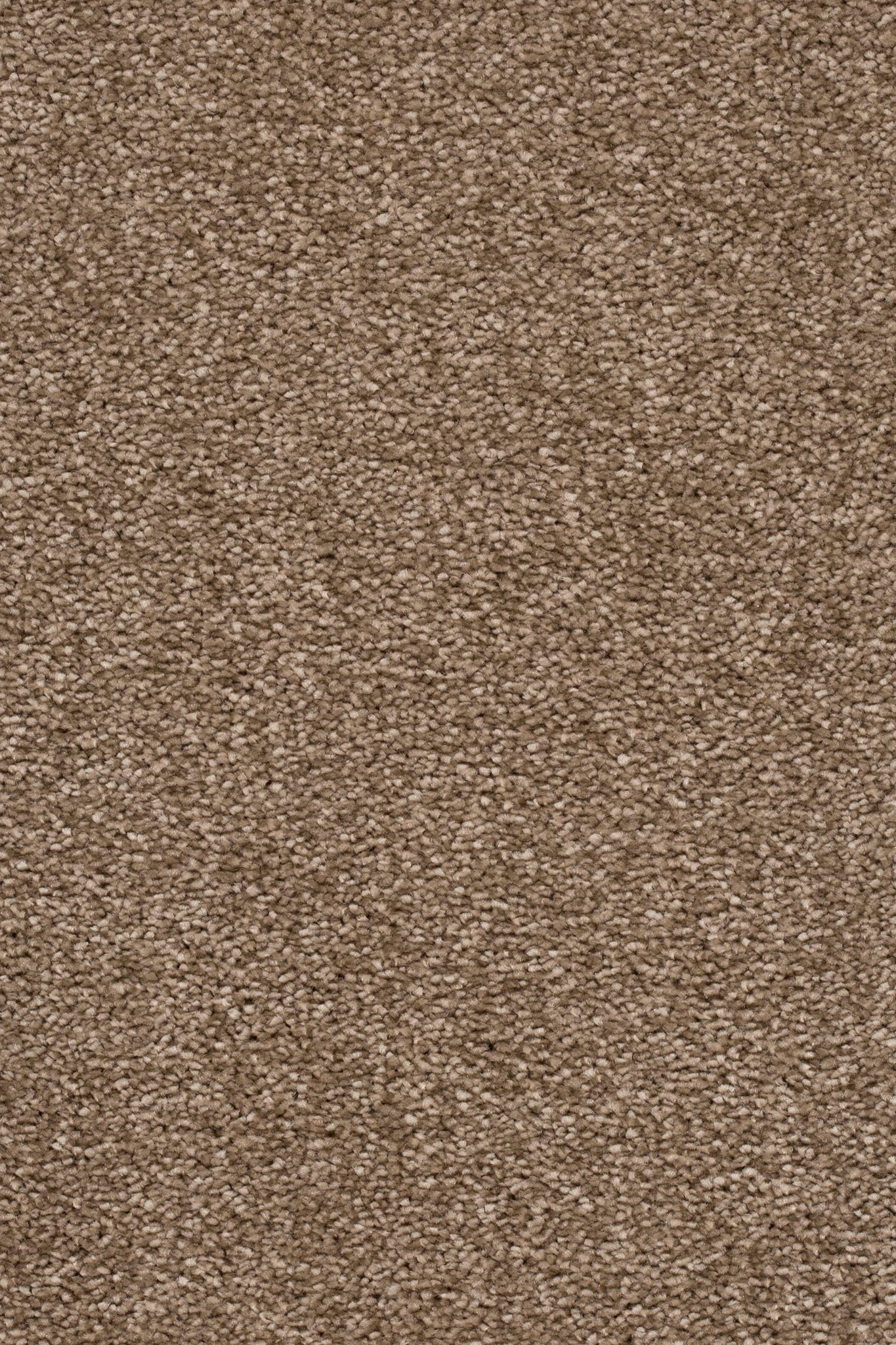 Afbeelding van Sprint 24 Tapijt NOVUS 400cm Kleur 92 x 400 Uitlopend