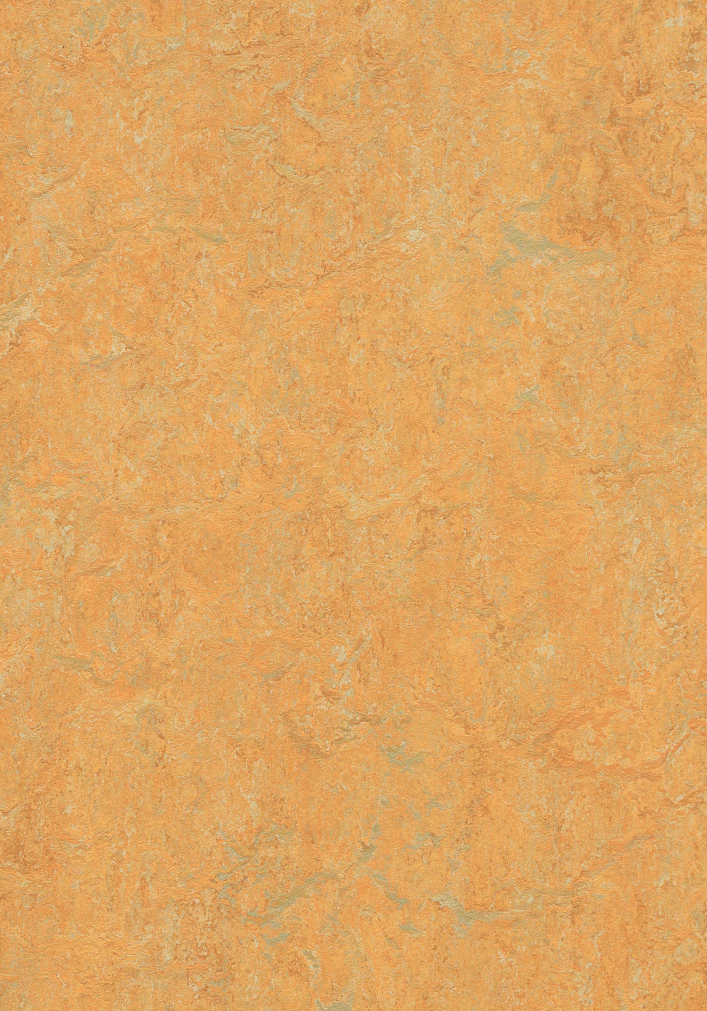 Afbeelding van Linoleum Jokalino 2,5mm Kl. 1020 Gouden saffron 3847 x 200