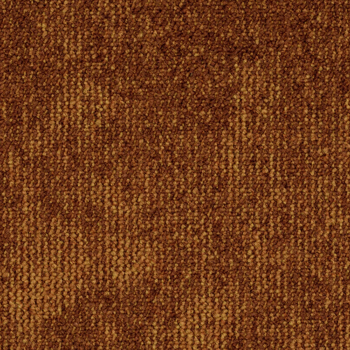 Afbeelding van Format Modul 25 Tapijt Leo Kleur 273 50x50cm Pak à 5m²