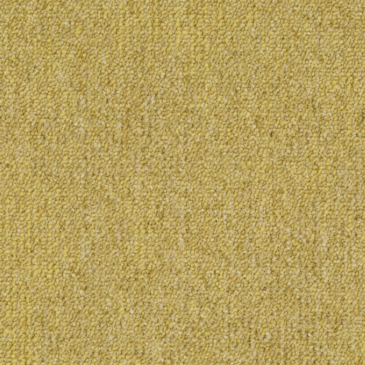 Afbeelding van Format Modul 25 Tapijt Leo Kleur 159 50x50cm Pak à 5m²