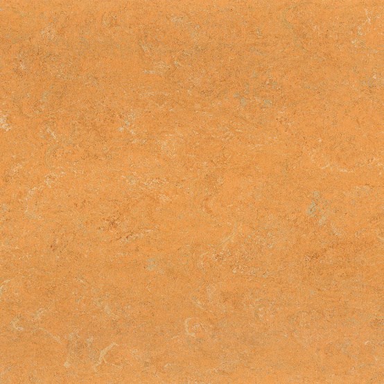 Afbeelding van Linoleum Jokaleum Neocare 2,5mm Kl. 4273 x 200