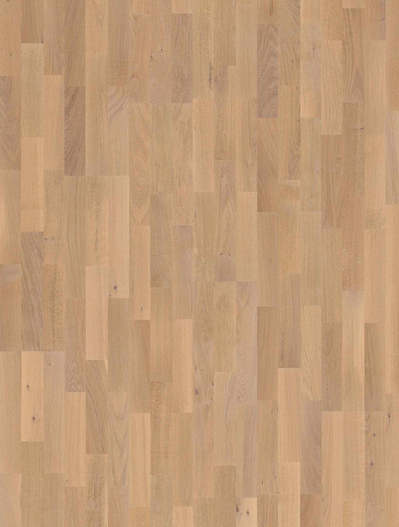 Afbeelding van JOKA KINGSTON 435 SB E3804 NATURE Eiken creme Olie  2200x208x13mm 2,746m²