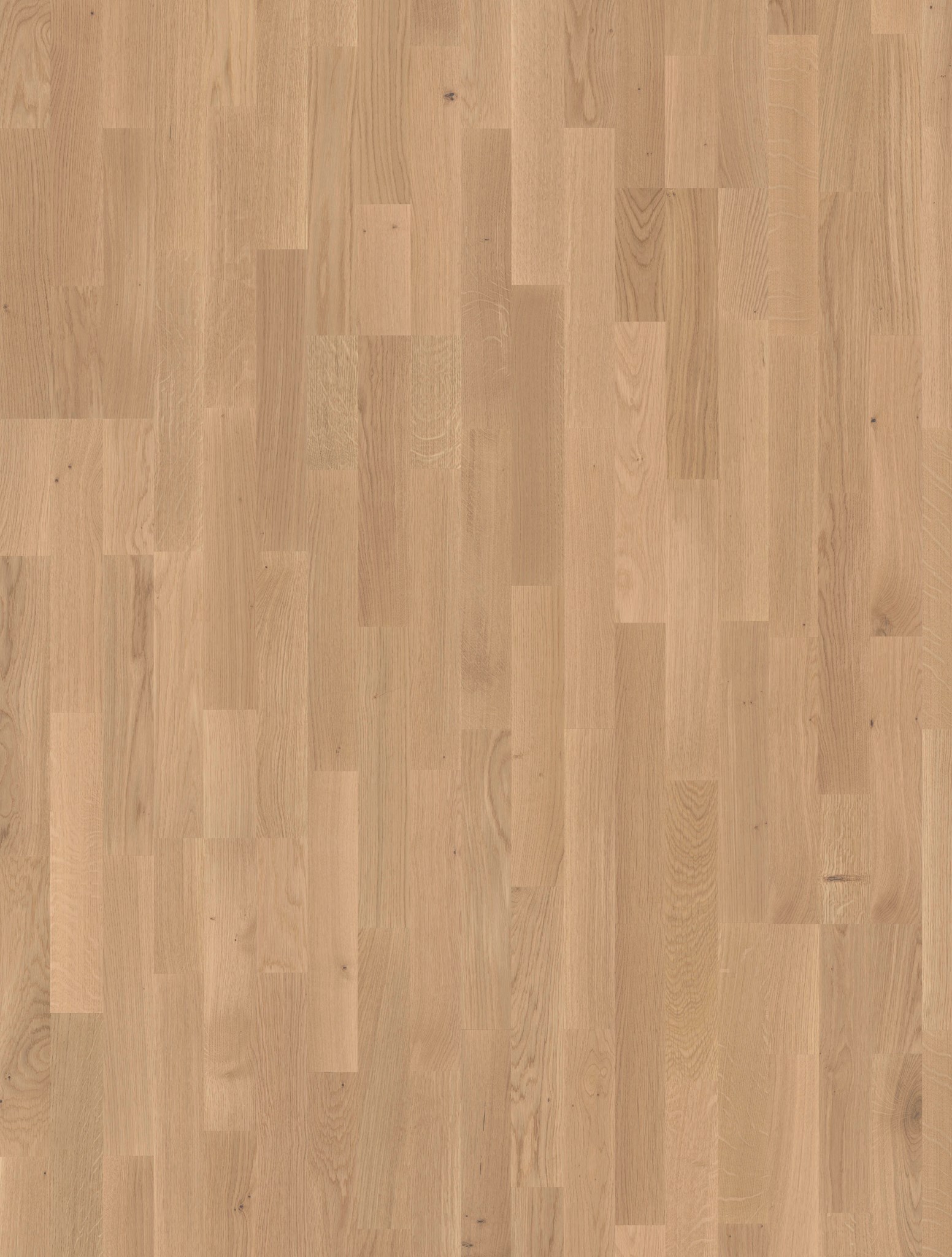 Afbeelding van JOKA KINGSTON 435 SB E3808 NATURE Eiken alpin Lak  2200x208x13mm 2,746m²